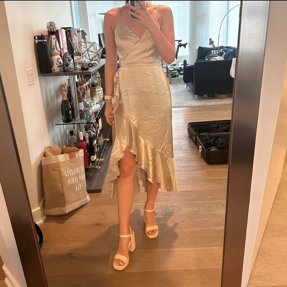 Birdy Grey YC Midi Dress - Picture 3 of 4